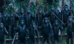 Army of Apes