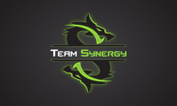 TeamSynergy