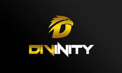 Divinity Gaming