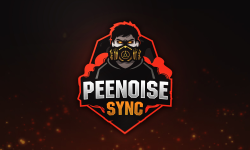 PEENOISE SYNC