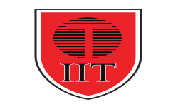 TEAM  IIT