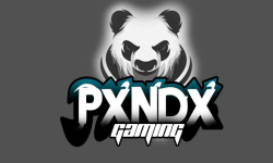 PANDA GAMING