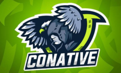 Conative