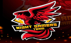 Night Gamers Esports