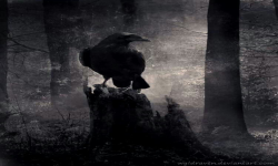 The Dark Ravens