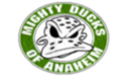 Mighty Anaheim Ducks GAMING