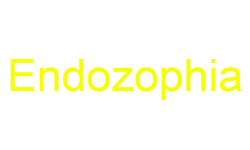 Endozophia