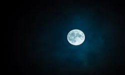 Nocturne