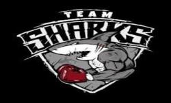 Team Sharks