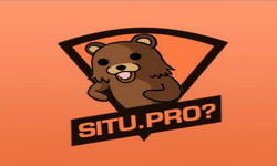 Situ Pro ?