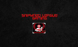 Sn1pwned League Gaming