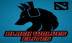 BLACK WOLVES ELITES