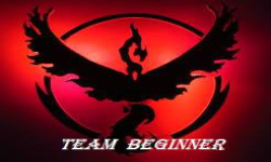 Team Beginner