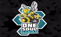One Soul Gamma