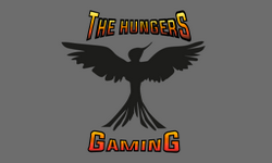 TheHungerGaming