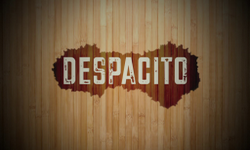 HAZLO DESPACITO