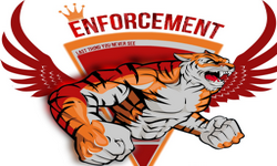 ENFORCEMENT