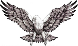 Eagles of Freedom