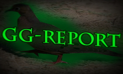 GG-Report