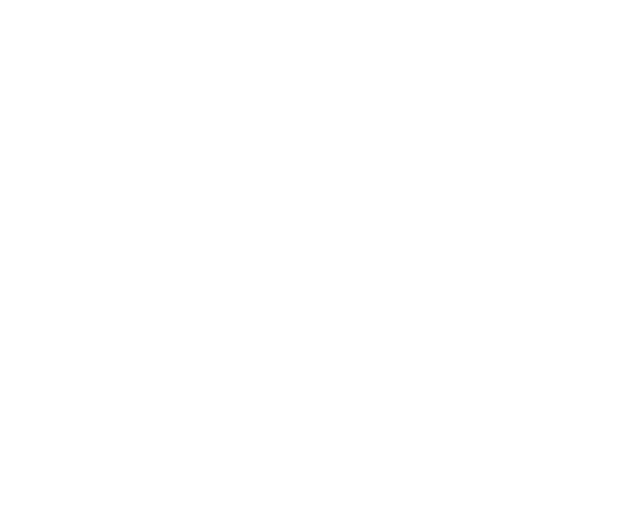 Team AD FINEM