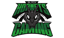 Black Hornets Gaming