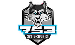 SFTe-SPORTS