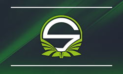 Team Singularity